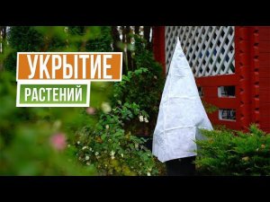 Укрывные колпаки кустарников и хвойников на зиму