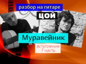 ЦОЙ-Муравейник.Начинается Новый День..Вступление.Аккорды Разбор на гитаре #гитара #guitar #esson