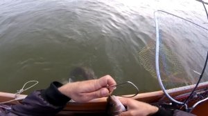 Ловля СОМА с лодки