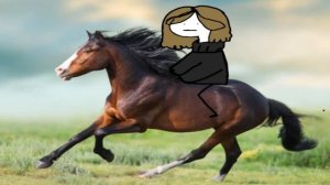 Сяду на коня и ускачу куда то ...