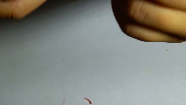 Как привязать поводок для поплавочной снасти.