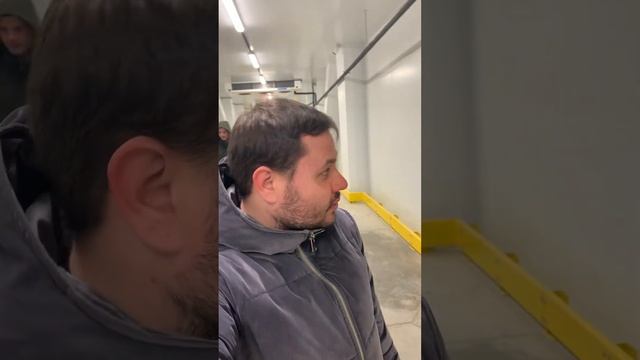 Тюльпаны оптом. Экскурсия по складу.