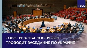 Совет Безопасности ООН проводит заседание по Украине