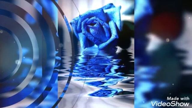 #цвет_настроения_синий_песня, #песня, #синий_иний, #синий, #розы, #синяя_роза, смотреть онлайн