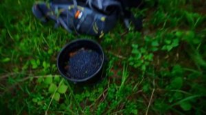 КУПИЛ 2 ДОМА В ДЕРЕВНЕ _ КАК НАС ВСТРЕТИЛ УРАЛЬСКИЙ ХУТОР _ ПОЕЗДКА В СОСЕДНЕЕ СЕЛО