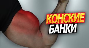 4 упражнения для Конских Банок. Как накачать бицепсы гантелями