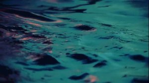 "ПЕСНЬ О СОБАКЕ" - Анна Резникова