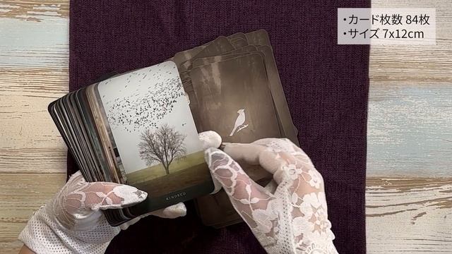 【開封動画】ELISABETH ON EARTH SELF-REFLECTION ◆ 裸足で地球を駆け回るオラクル смотреть онлайн