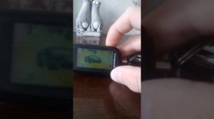 Установка авто запуска по таймеру,сигнализация Пантера