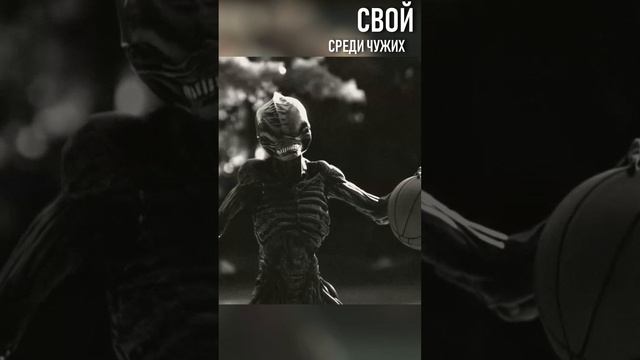 Свой среди чужих