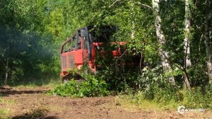 Лесной самоходный мульчер Prinoth RT 400