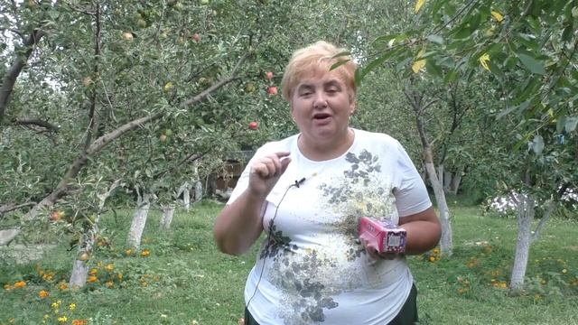 КАК УХАЖИВАТЬ За ПИОНАМИ в Конце АВГУСТА и Начале СЕНТЯБРЯ! Мои цветы. смотреть онлайн