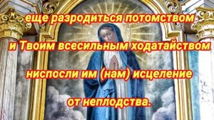 Молитва в Рождество Пресвятой Богородицы на зачатие ребёнка