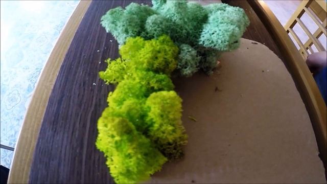 Мастер класс Декорирование стабилизированным мхом от Moss Space