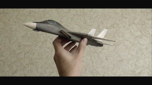 Палубный самолёт из пластилина F -14 TomCat из пластилина