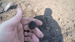 Коп с металлоискателем. Двухдневный поиск монет.