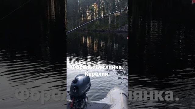 Очередной выезд за форелью. #карелия #рыбалка #форель #спининг смотреть онлайн