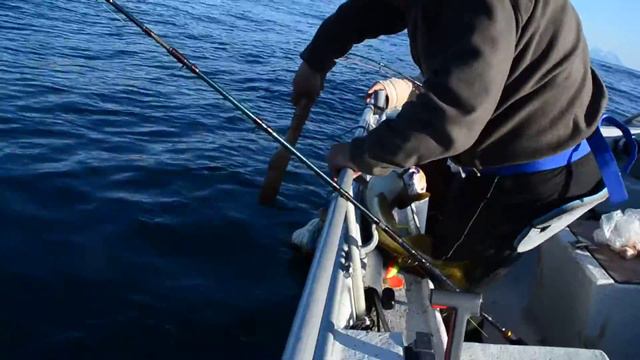 Рыбалка в Норвегии смотреть онлайн