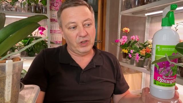 РЕДКИЙ ЧУДО СПРЕЙ для ОРХИДЕЙ / как корни и цветоносы орхидей растут в КОРЕ ДУБА