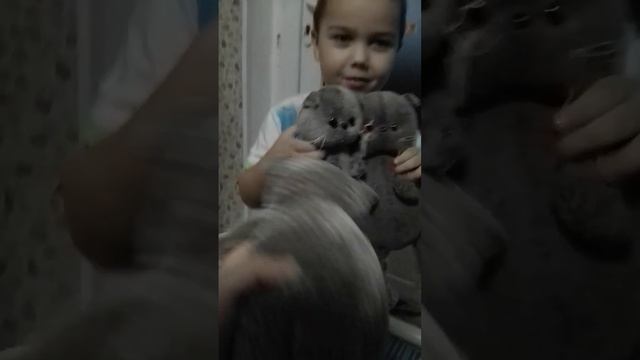 17 января 2024 г. смотреть онлайн