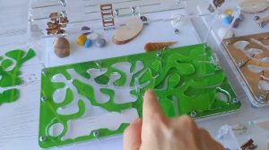 Обзор муравьиных ферм