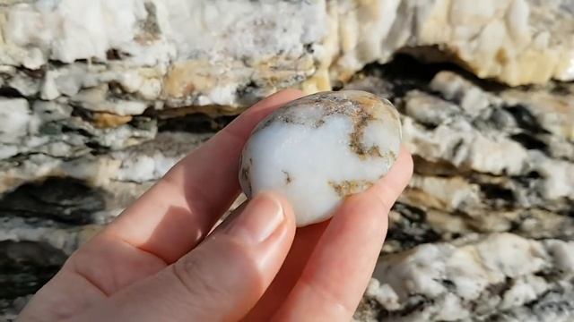 Stoney Creek, Riolis, Жар - птица и Вероник Ажинер + прогулка к морю.
