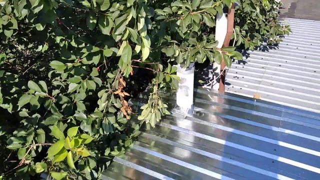 Как заменить мягкую кровлю гаража на профлист смотреть онлайн