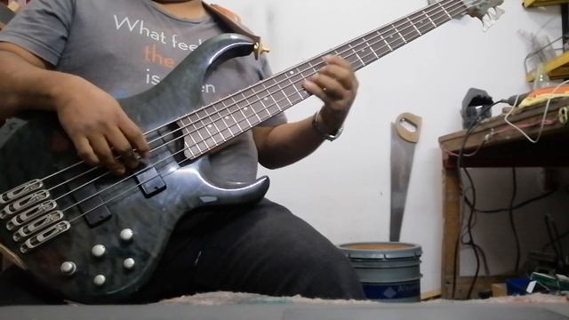 eres mala #alegresdelasierra cover en el bass смотреть онлайн