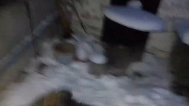 Много снега 27.02.18❄❄❄. Заснеженные собаки смотреть онлайн