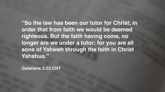 100 Proofs - Part 11 смотреть онлайн