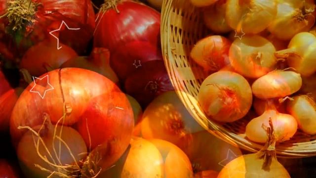 РЕПЧАТЫЙ ЛУК - ПОЛЬЗА / лук репчатый вред, свойства, болезни, польза для волос,