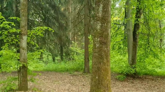 Лена и Ваня LIFE / Как же Лену "КОЛБАСИТ"!!! / Лютое ВРАНЬЁ нелепой Лены... / Обзор влогов