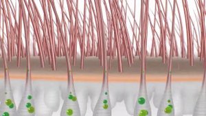 Пантовигар - средство № 1 во всем мире против выпадения волос
