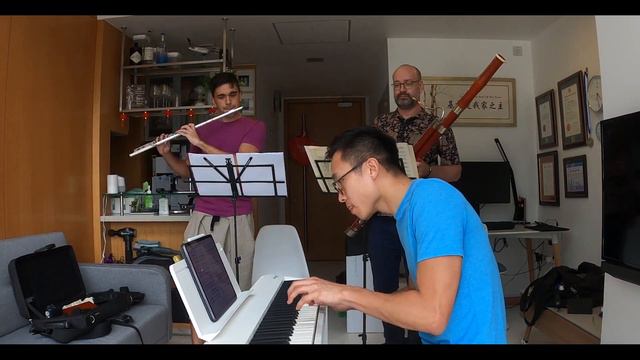 G. Donizzetti - Trio for flute, bassoon, and piano смотреть онлайн