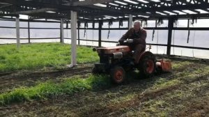 Заделка сидератов фрезой минитрактор КУБОТА В5000