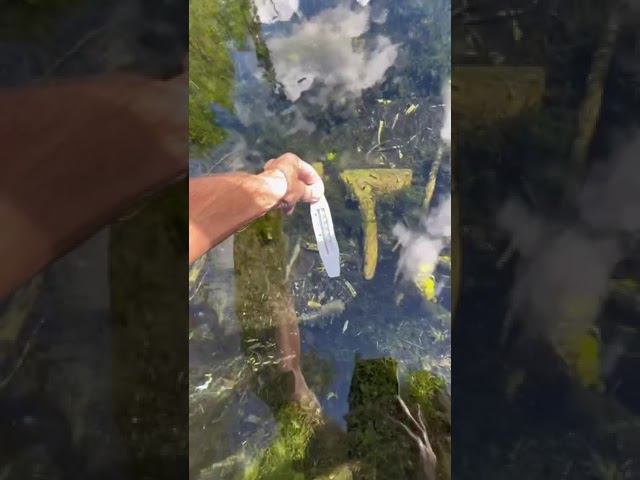 #ТемператураводынаРоднике? #зож #закаливание #моржевание смотреть онлайн