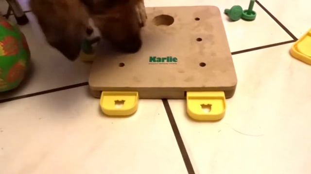 Karlie Doggy Brain Train Cube leos