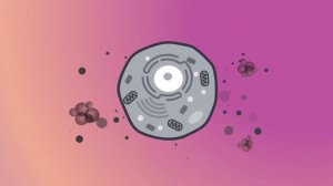 Польза функциональных напитков AGenYZ. Почему попробовать стоит всем, кто заботится о здоровье