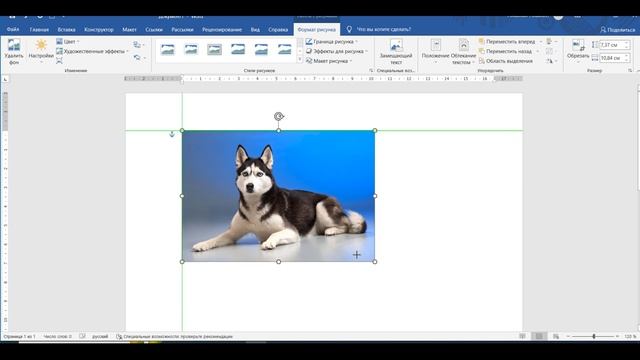 #word  Как удалить фон картинки в Word и отзеркалить картинку
