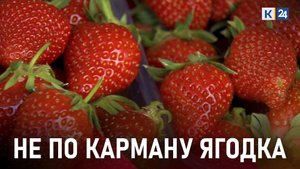 Как отличить кубанскую клубнику от турецкой и сколько она стоит?