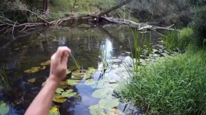 Ловля рыбы перетяжкой(тюкалкой)на малых реках