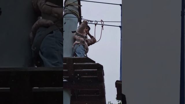 веревочный парк.Омск смотреть онлайн