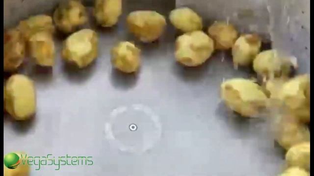 Машина для ножевой очистки картофеля Vega KPel 1000/2000 смотреть онлайн