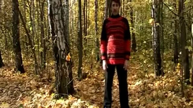 Цикл упражнений Стрельниковой