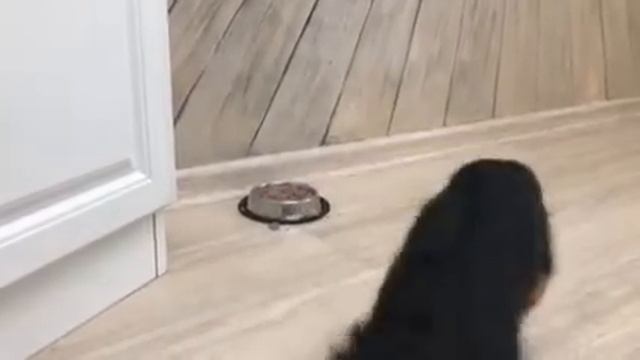 Ники в новом доме смотреть онлайн