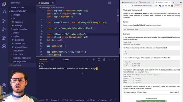 Using MongoDB to Store our Posts | Beginner's Guide to Full Stack Development смотреть онлайн