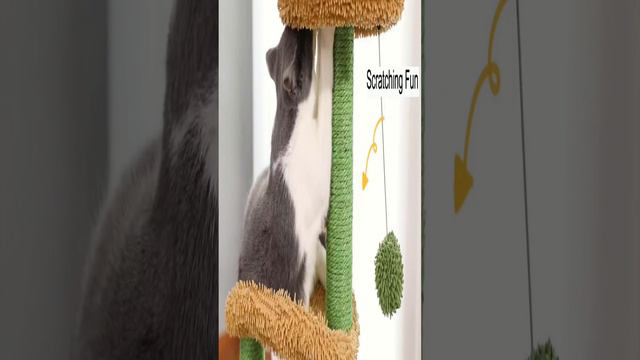 😺😺 Why does my my cat simply loves this cactus cat tree tower ?? | mycatpuppyshop