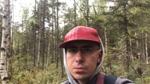 Сбор голубики в лесу 01.08.2021г.