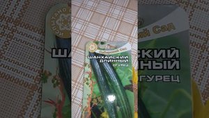 Посадите этот огурец и вы не останетесь без урожая!!!Китайский огурец. Супер огурцы!!!