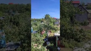 Satcom" на АМ- рамочную антенну от муз , центра